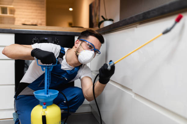 Best Local Pest Control Services  in Clinton, MI