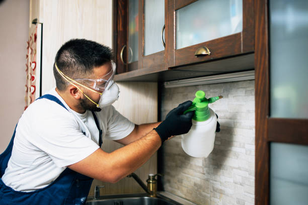 Best Cockroach Control Services  in Clinton, MI