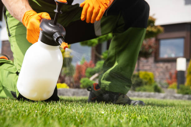 Best Affordable Pest Control Services  in Clinton, MI