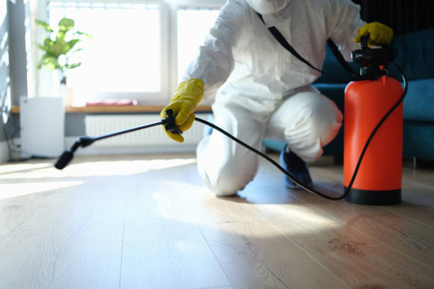 Best Flea Control Services  in Clinton, MI