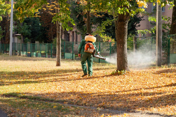 Wildlife Control Services in Clinton, MI